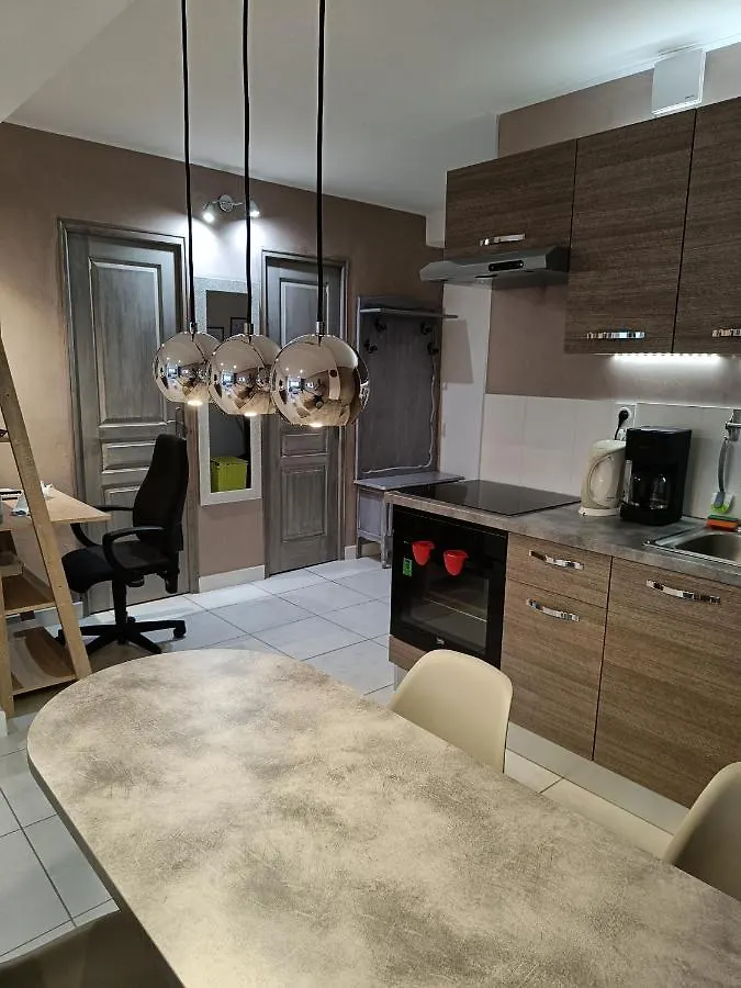 Majestic Isal Inn Aix-les-Bains Apartment